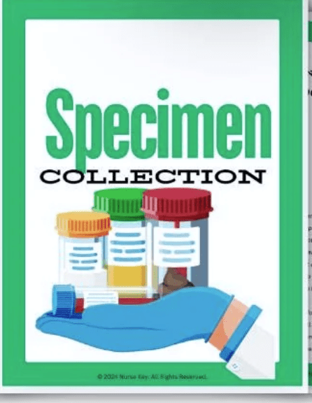 Specimen Collection eBook - Nurse Unlocked