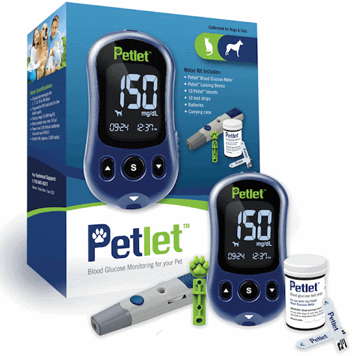 Blood Glucose Monitoring eBook.